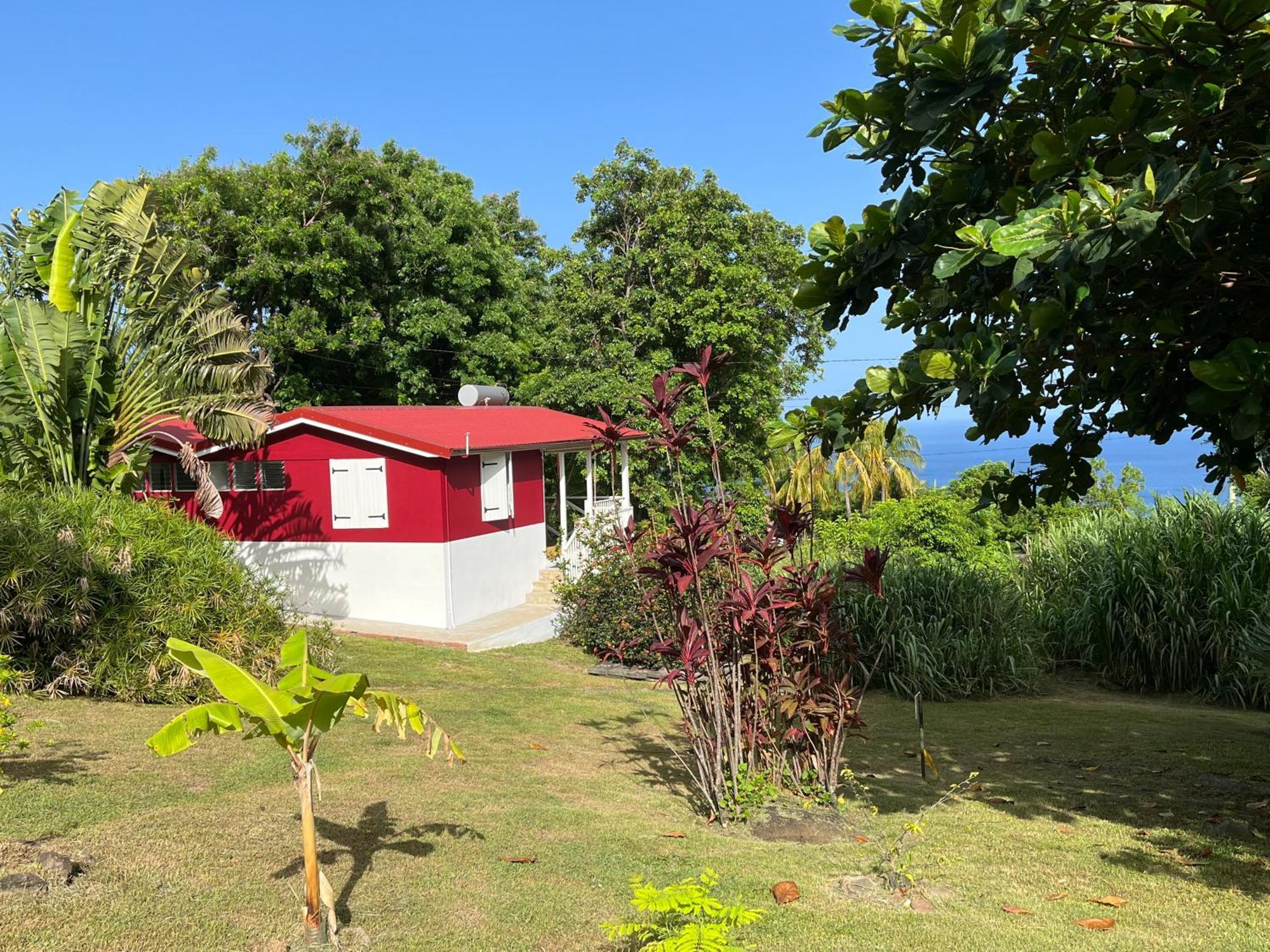 Grand Bungalow Avec Piscine Et Vue Mer Bouillante Ngoại thất bức ảnh